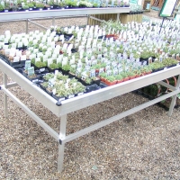 PICT0001.jpg