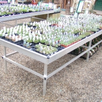 PICT0002_1.jpg