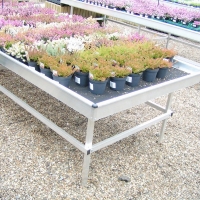 PICT0004.jpg