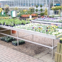 PICT0009.jpg