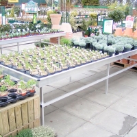 PICT0040.jpg