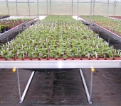 PICT0005.jpg