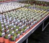 PICT0012.jpg