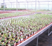 PICT0015.jpg