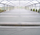 PICT0020.jpg