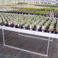 PICT0007.jpg