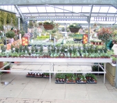 PICT0007.jpg