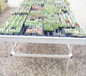 PICT0024.jpg
