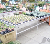 PICT0040.jpg